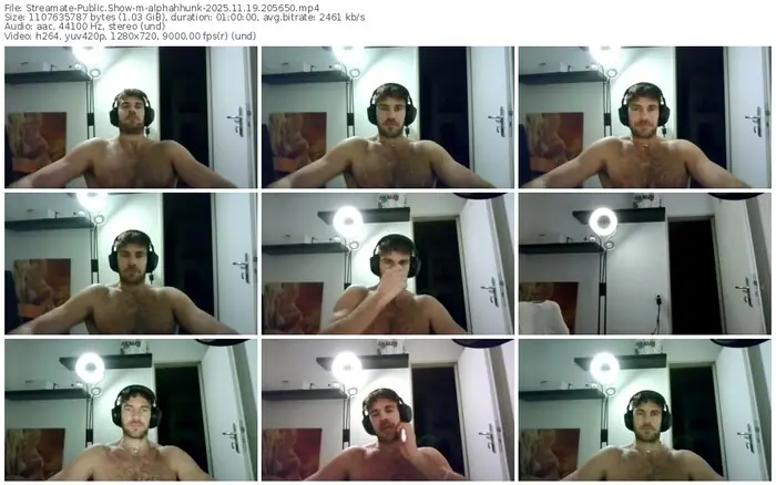 2025/11/19/streamate-alphahhunk-20-56-50