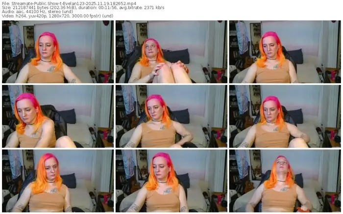 2025/11/19/streamate-evelan123-18-26-52