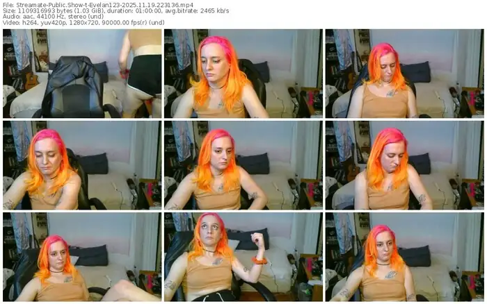 2025/11/19/streamate-evelan123-22-31-36