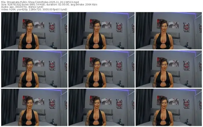 2025/11/20/streamate-amirides-13-45-13