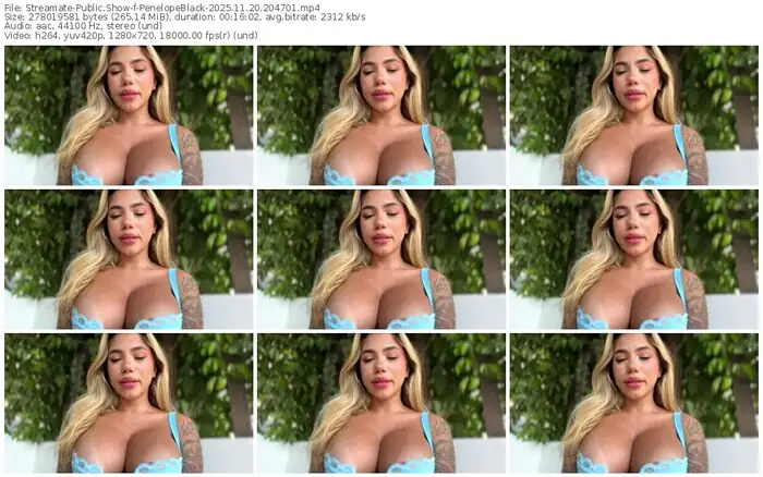 2025/11/20/streamate-penelopeblack-20-47-01