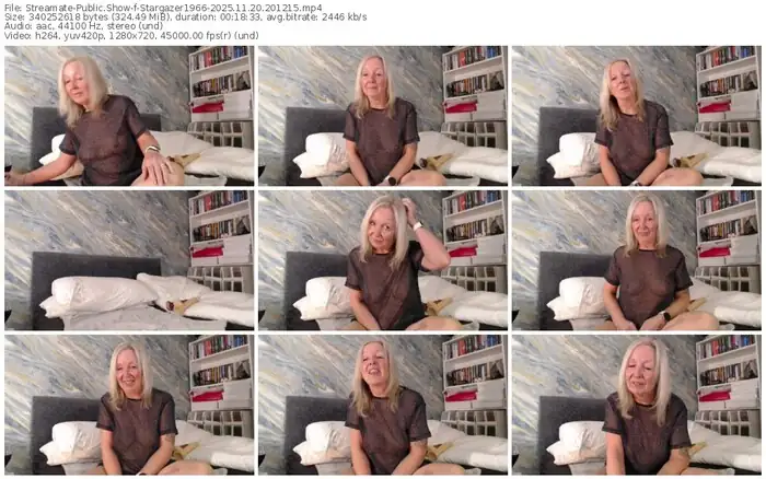 2025/11/20/streamate-stargazer1966-20-12-15