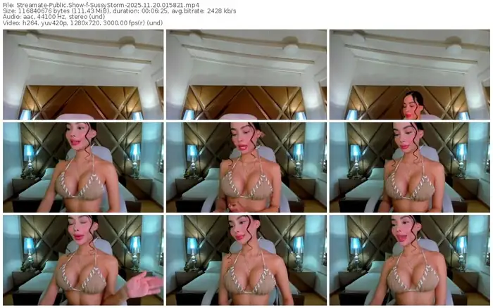 2025/11/20/streamate-sussystorm-01-58-21