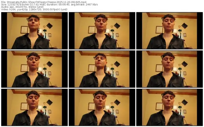 2025/11/20/streamate-wheezycheese-09-16-45