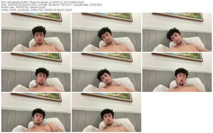 2025/11/20/streamate-vexen_io-11-08-19