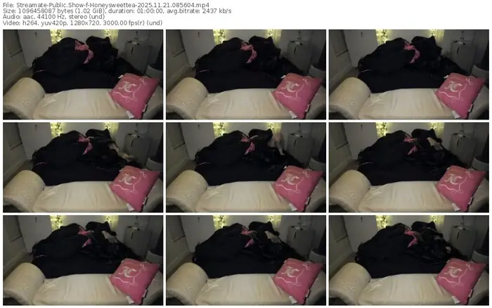 2025/11/21/streamate-honeysweettea-08-56-04