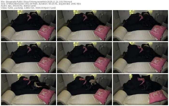 2025/11/21/streamate-honeysweettea-10-17-06