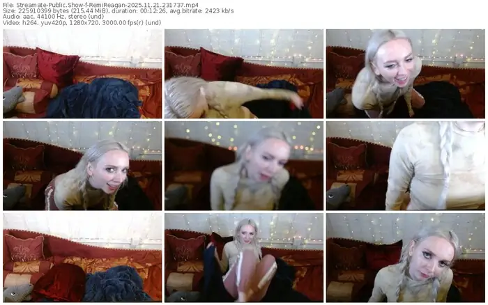 2025/11/21/streamate-remireagan-23-17-37