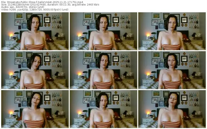 2025/11/21/streamate-sailorviolet-17-17-51