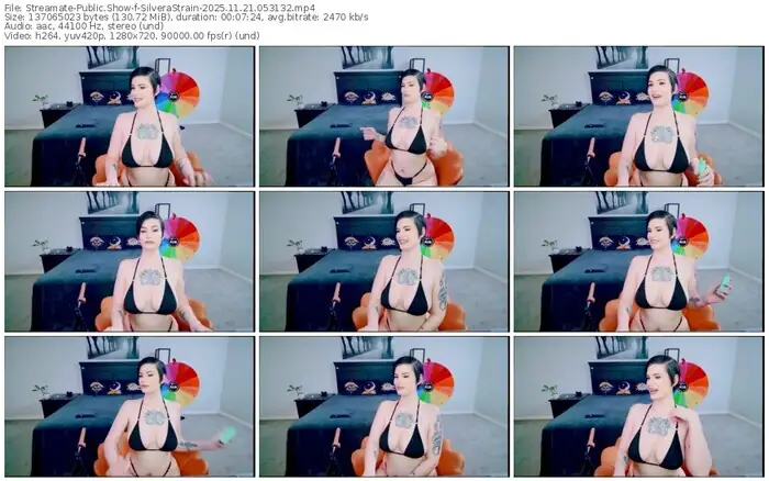 2025/11/21/streamate-silverastrain-05-31-32