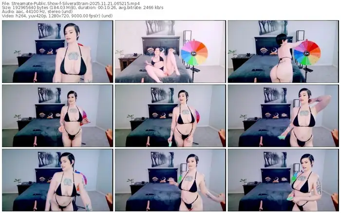 2025/11/21/streamate-silverastrain-06-52-15