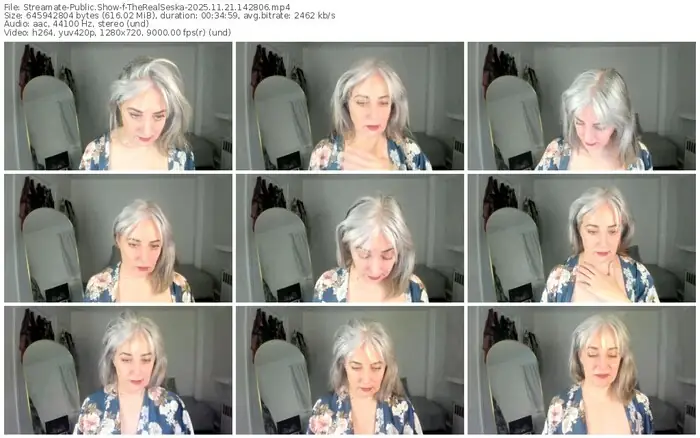 2025/11/21/streamate-therealseska-14-28-06