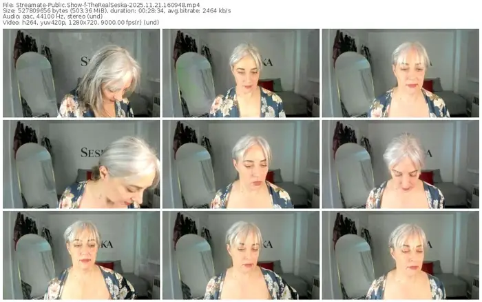 2025/11/21/streamate-therealseska-16-09-48