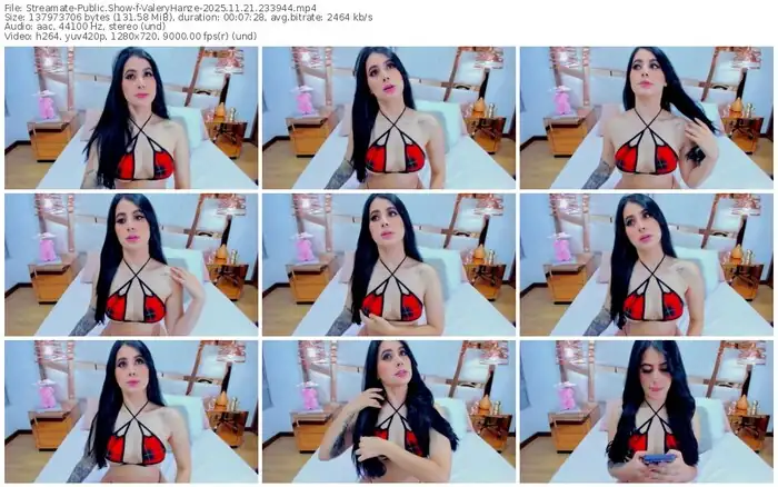 2025/11/21/streamate-valeryhanze-23-39-44