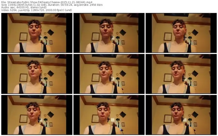 2025/11/21/streamate-wheezycheese-08-04-41