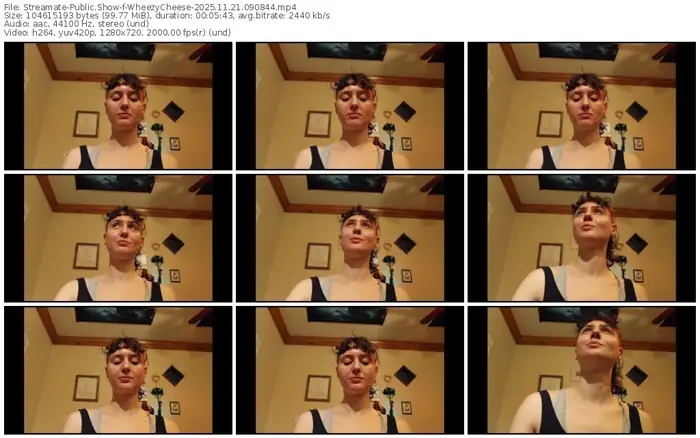 2025/11/21/streamate-wheezycheese-09-08-44