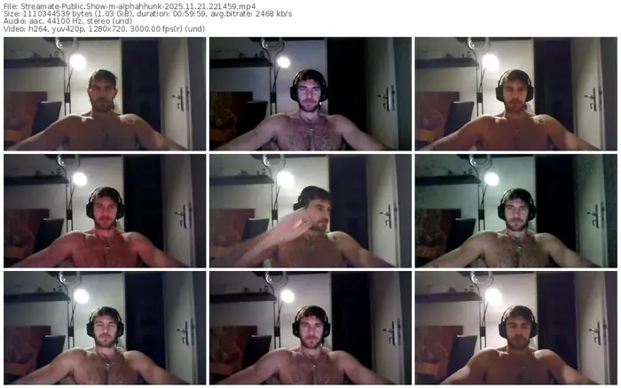 2025/11/21/streamate-alphahhunk-22-14-59