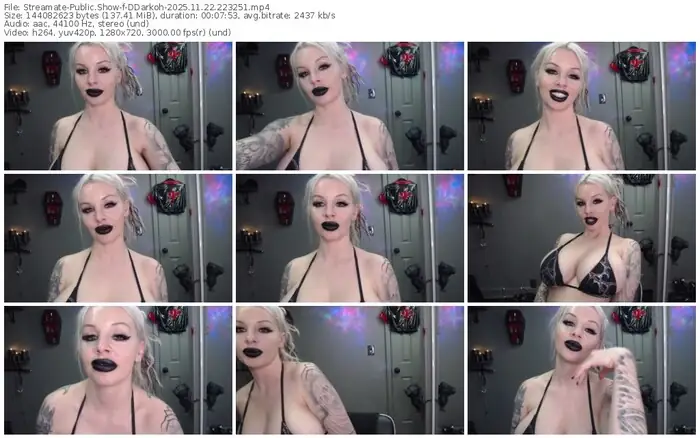 2025/11/22/streamate-ddarkoh-22-32-51