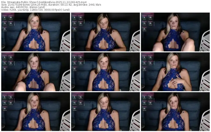 2025/11/22/streamate-goddessevie-06-14-25