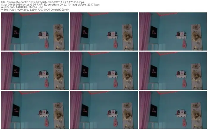 2025/11/22/streamate-kayliemorris-17-39-39