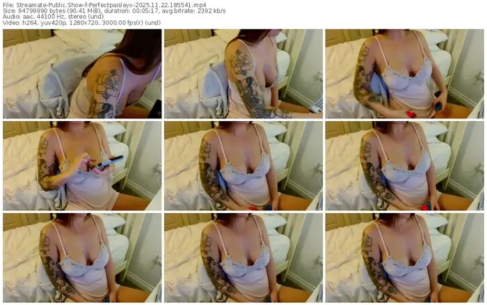 2025/11/22/streamate-perfectpaisleyx-18-55-41