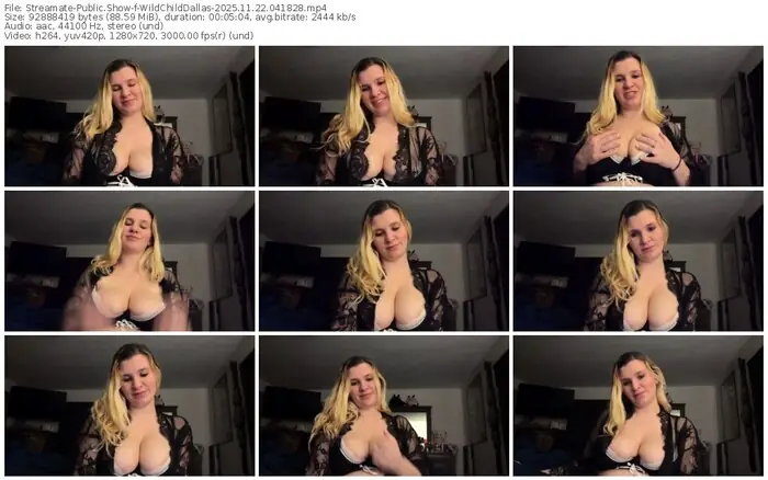 2025/11/22/streamate-wildchilddallas-04-18-28
