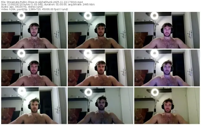 2025/11/22/streamate-alphahhunk-17-30-10