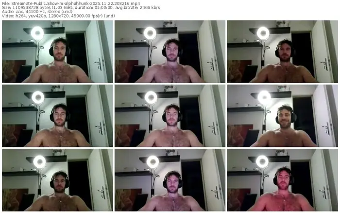 2025/11/22/streamate-alphahhunk-20-32-16