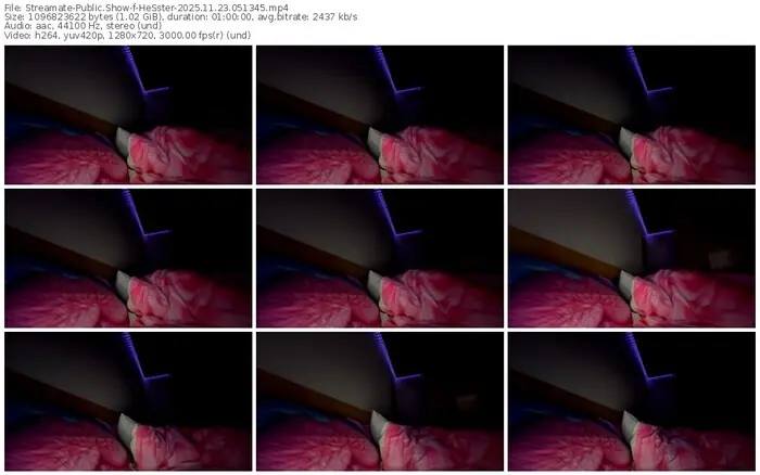 2025/11/23/streamate-hesster-05-13-45