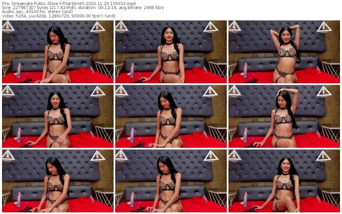 2025/11/23/streamate-pilarsmiith-15-56-53