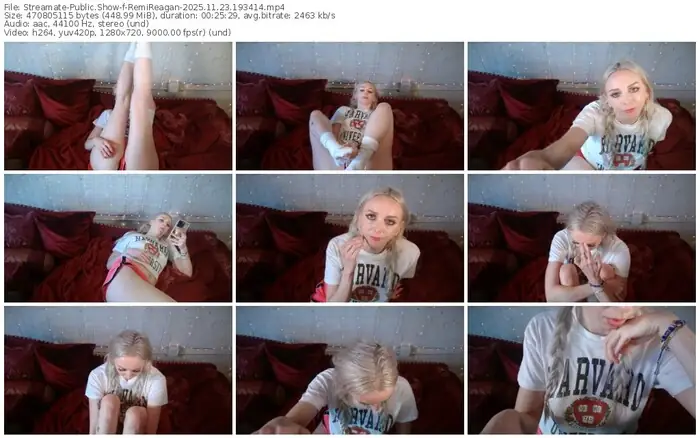 2025/11/23/streamate-remireagan-19-34-14