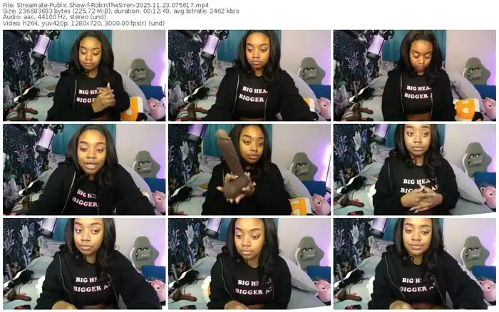 2025/11/23/streamate-robinthesiren-07-56-17