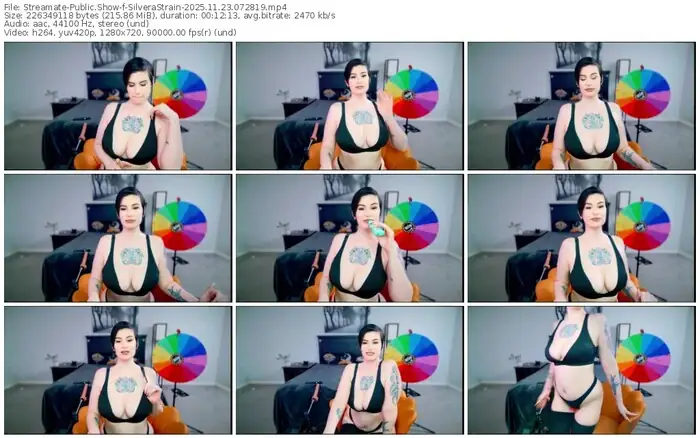 2025/11/23/streamate-silverastrain-07-28-19