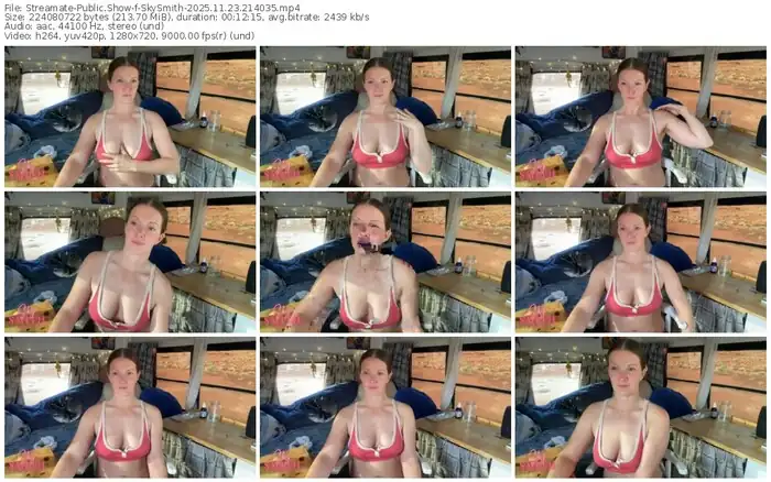 2025/11/23/streamate-skysmith-21-40-35