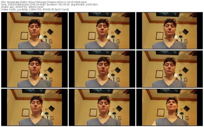 2025/11/23/streamate-wheezycheese-01-35-26