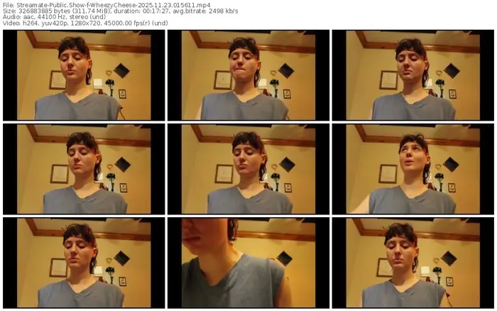 2025/11/23/streamate-wheezycheese-01-56-11