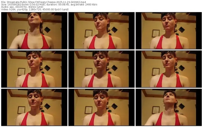 2025/11/23/streamate-wheezycheese-04-39-42