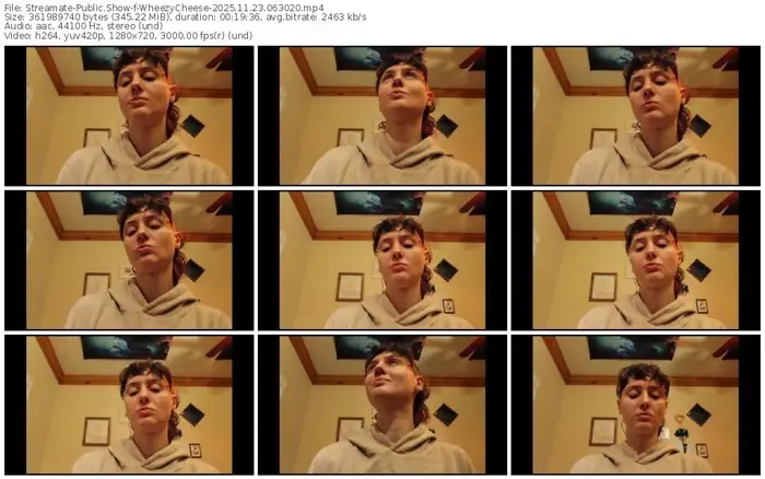 2025/11/23/streamate-wheezycheese-06-30-20