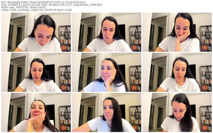 2025/11/23/streamate-wildcat123-01-20-36