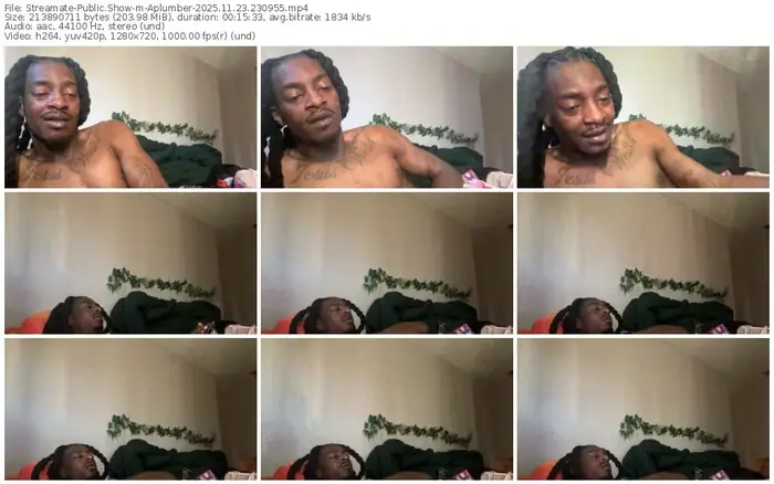 2025/11/23/streamate-aplumber-23-09-55