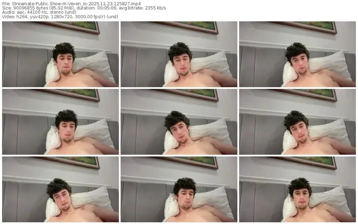 2025/11/23/streamate-vexen_io-12-58-27