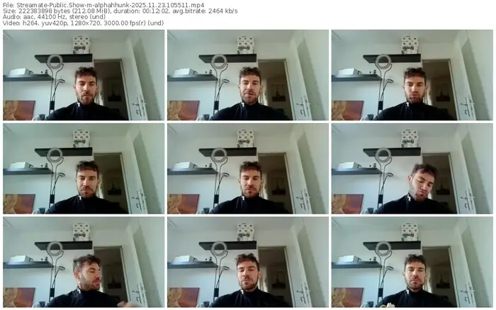 2025/11/23/streamate-alphahhunk-10-55-11