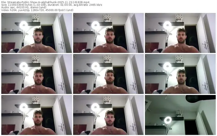 2025/11/23/streamate-alphahhunk-16-18-28