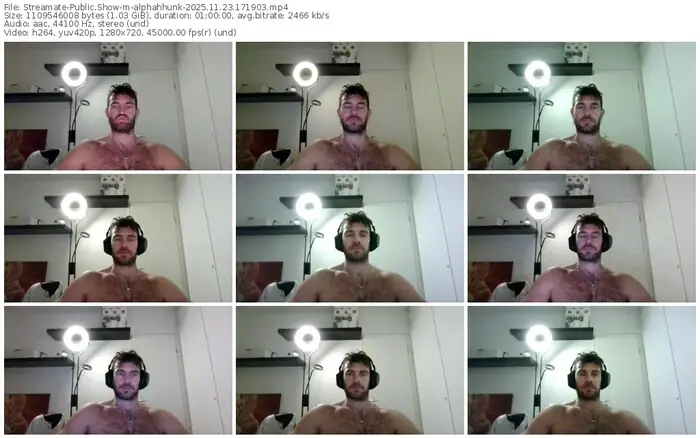 2025/11/23/streamate-alphahhunk-17-19-03
