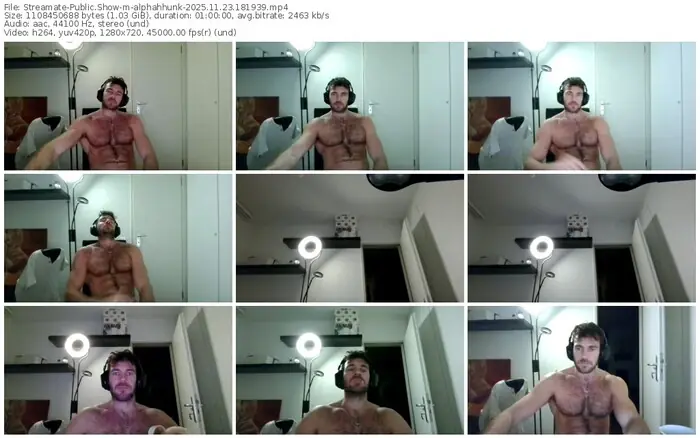 2025/11/23/streamate-alphahhunk-18-19-39