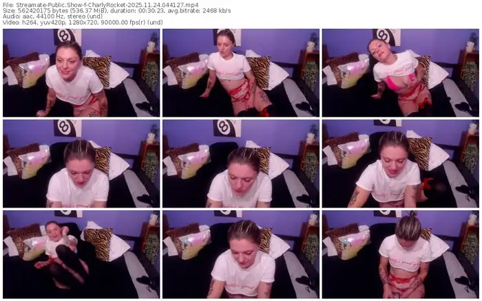 2025/11/24/streamate-charlyrocket-04-41-27