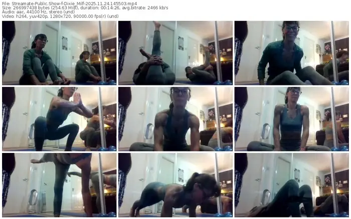 2025/11/24/streamate-dixie_milf-14-55-03