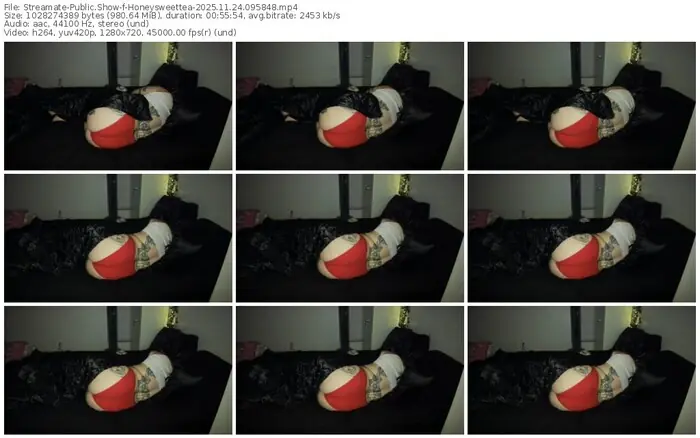 2025/11/24/streamate-honeysweettea-09-58-48