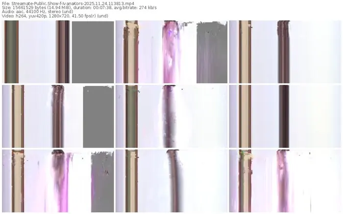 2025/11/24/streamate-ivanakors-11-38-13