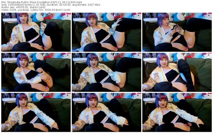 2025/11/24/streamate-ledabun-11-18-42